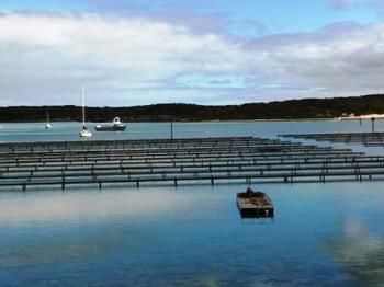 Longbeach Apartments Coffin Bay Buitenkant foto